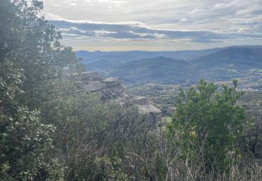 Tocht Stappen Lodève - Le plateau de Grézac - Photo