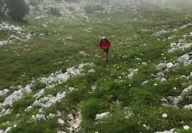 Randonnée Marche La Chapelle-en-Vercors - Balcons Est des Hauts Plateaux - Photo