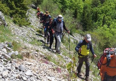 Randonnée Marche Châtillon-en-Diois - jocou sans jocou - Photo