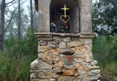 Excursión Senderismo La Valette-du-Var - tour du Coudon - Photo