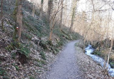 Randonnée Marche Hamoir - HAMOIR (Vallée du Neblon) - Photo