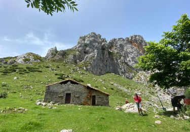 Trail Walking Cangas de Onís - Covadonga  - Photo