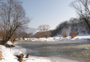 Percorso A piedi  - Bixad - Urmele Cetății Vápa - Ozunca-Băi - Photo