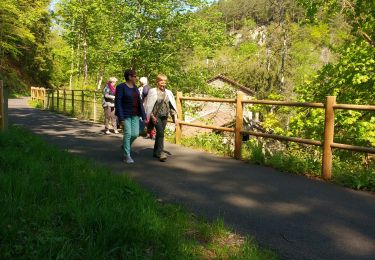 Randonnée Marche Yssingeaux - Yssingeaux - Photo