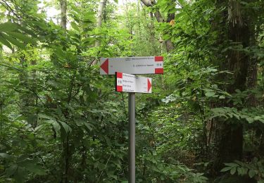 Percorso A piedi San Giuliano Terme - 