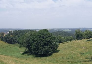 Randonnée Marche Fridefont - Magnac - Photo