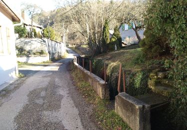 Tour Wandern Masevaux-Niederbruck - Buchberg - Photo