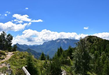 Trail On foot Trambileno - IT-E120 - Photo