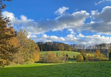 Trail On foot Wipperfürth - Rund um Wipperfürth W - Photo