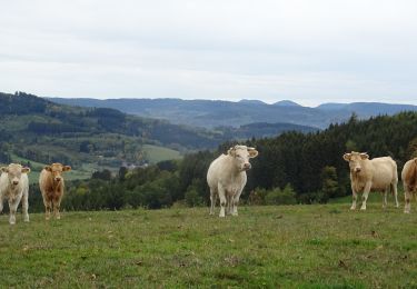 Tocht Paardrijden Ban-de-Laveline - 2018-10-11 Rando CVA Vosges Prof Ban De Laveline Taintrux - Photo