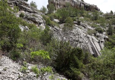 Tour Wandern Ceyreste - Ceyreste, cabane du marquis, vallon des conquêtes. - Photo
