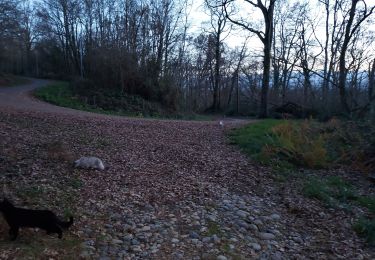 Trail Walking Livron - Livron 4chats - Photo