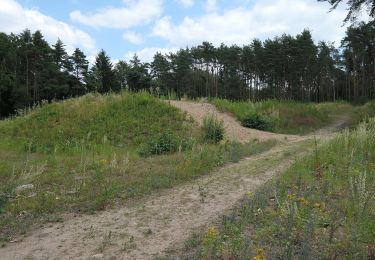 Tocht Te voet Onbekend - Dossenwald Rundweg Nr. 4 - Photo