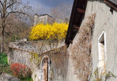 Trail Walking Saint-Alban-Leysse - monterminod-15-03-2024 - Photo