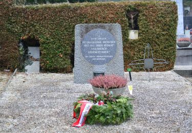 Tour Zu Fuß Purkersdorf - Rundwanderweg Süßfeld - Photo