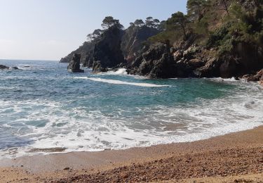 Randonnée Marche Palafrugell - Cami de R  vers cala el Golfet - Photo