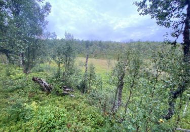 Tour Wandern  - Bulkholla - Photo
