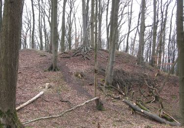 Randonnée A pied Baunach - Specht-Wanderweg - Photo