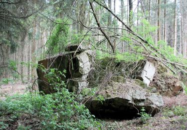 Randonnée A pied Riegelsberg - Frohn-Wald-Weg - Photo