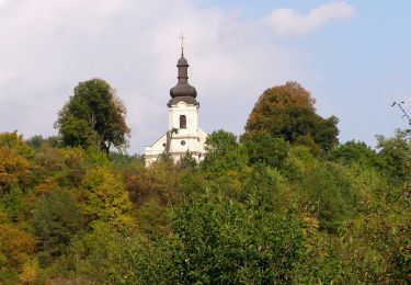 Tour Zu Fuß Bezirk Preschau - Lemešanská špacírka - Photo