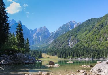 Tocht Te voet Tarvisio - IT-512 - Photo