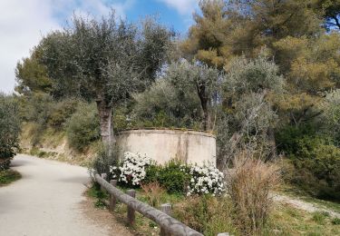 Percorso Marcia Nizza - Parc Départemenatl d'Estienne d Orves - Photo