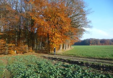 Randonnée A pied Wincrange - Wikiloc Urspelt Maulusmuhle (PVDB) - Photo