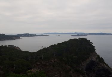 Trail Walking Hyères - presqu'île de giens ouest - Photo