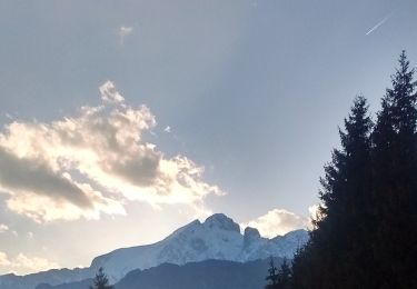 Trail On foot Azzone - Trekking tra malghe e menhir anello 3: Salven - Costone - San Fermo - Photo