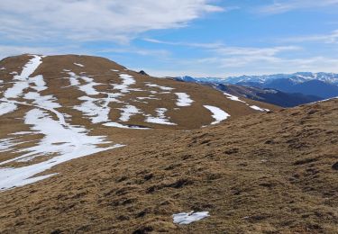 Randonnée Marche Mayrègne - mail de la pène de Rustier en boucle depuis Mayrègne - Photo