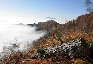 Tocht Te voet Cossogno - P02 - Cossogno - Pizzo Pernice - Photo