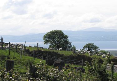 Randonnée A pied  - Causeway Coast and Glens - 14 - Binevenagh - Photo