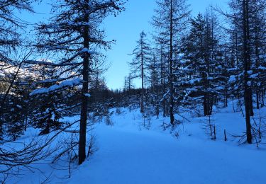 Randonnée Marche Montgenèvre - Montgenèvre: Sentier de Sestrières - Photo