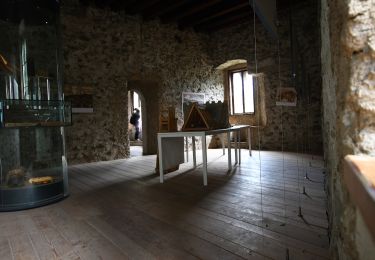 Percorso A piedi Selva dei Molini - Kellerbauer Weg Chemnitzer Hütte - Speikboden - Photo