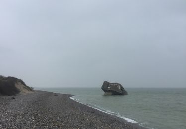 Randonnée Marche Cayeux-sur-Mer - Le hourdel  09/04/2019 - Photo