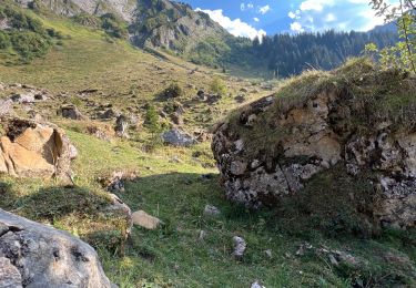 Randonnée Marche Morzine - MORZINE, les terres maudites - MORZINE  - Photo