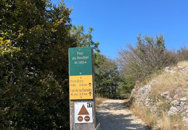 Tour Wandern Omblèze - Plateau ambel  - Photo