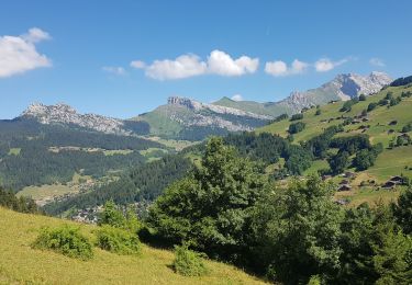 Percorso Marcia Le Grand-Bornand - Le Grand Bornand Les Confins - Photo