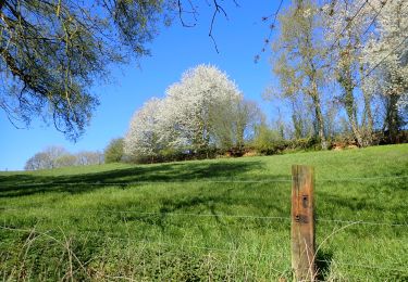 Tour Wandern Chaumont-Gistoux - #210427 - Longueville, Hèze et Petit Hacquedeau - Photo