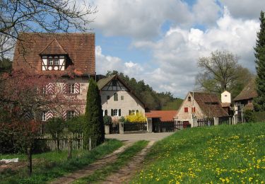 Tour Zu Fuß Roth - Rundwanderweg Aurachtal - Photo