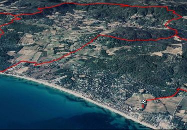 Trail Electric bike Ramatuelle - VTT-AE - Mataranne - Bonne Terrasse - Camarat - Collebasse - paillas. - Photo