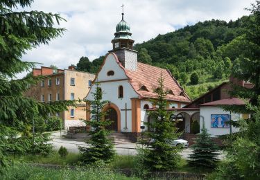 Tocht Te voet Włodowice - Droga chlebowa - Photo