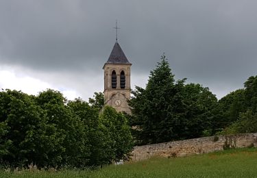 Trail Walking Boissy-l'Aillerie - Boissy l Aillery - Photo