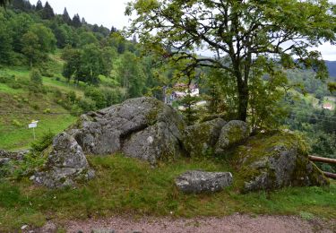 Trail Mountain bike La Bresse - OR-6098028--Bresse (La):CIRCUIT VTT N°1 - Photo