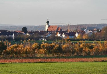 Excursión A pie Weilheim an der Teck - Weilheim Rundweg 42 - Photo