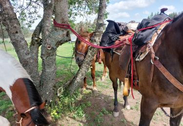 Percorso Equitazione Nasbinals - nasbinal  3jour real - Photo