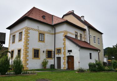 Percorso A piedi Bad Schönau - Weg der Blicke - Photo