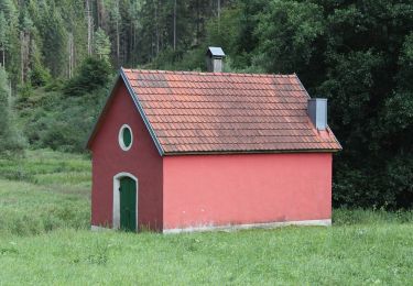 Tocht Te voet Königsfeld - Rundweg Paradiestal - Photo