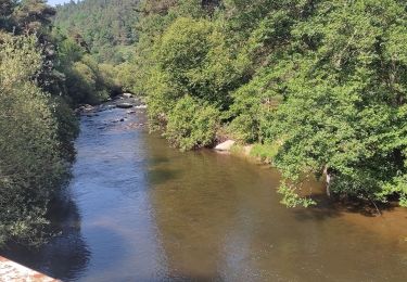 Tour Wandern Saint-Alban-sur-Limagnole - randonnée tranquille  - Photo