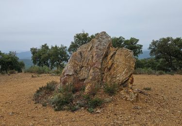 Tour Wandern Pierrefeu-du-Var - Circuit dans les maures - Photo